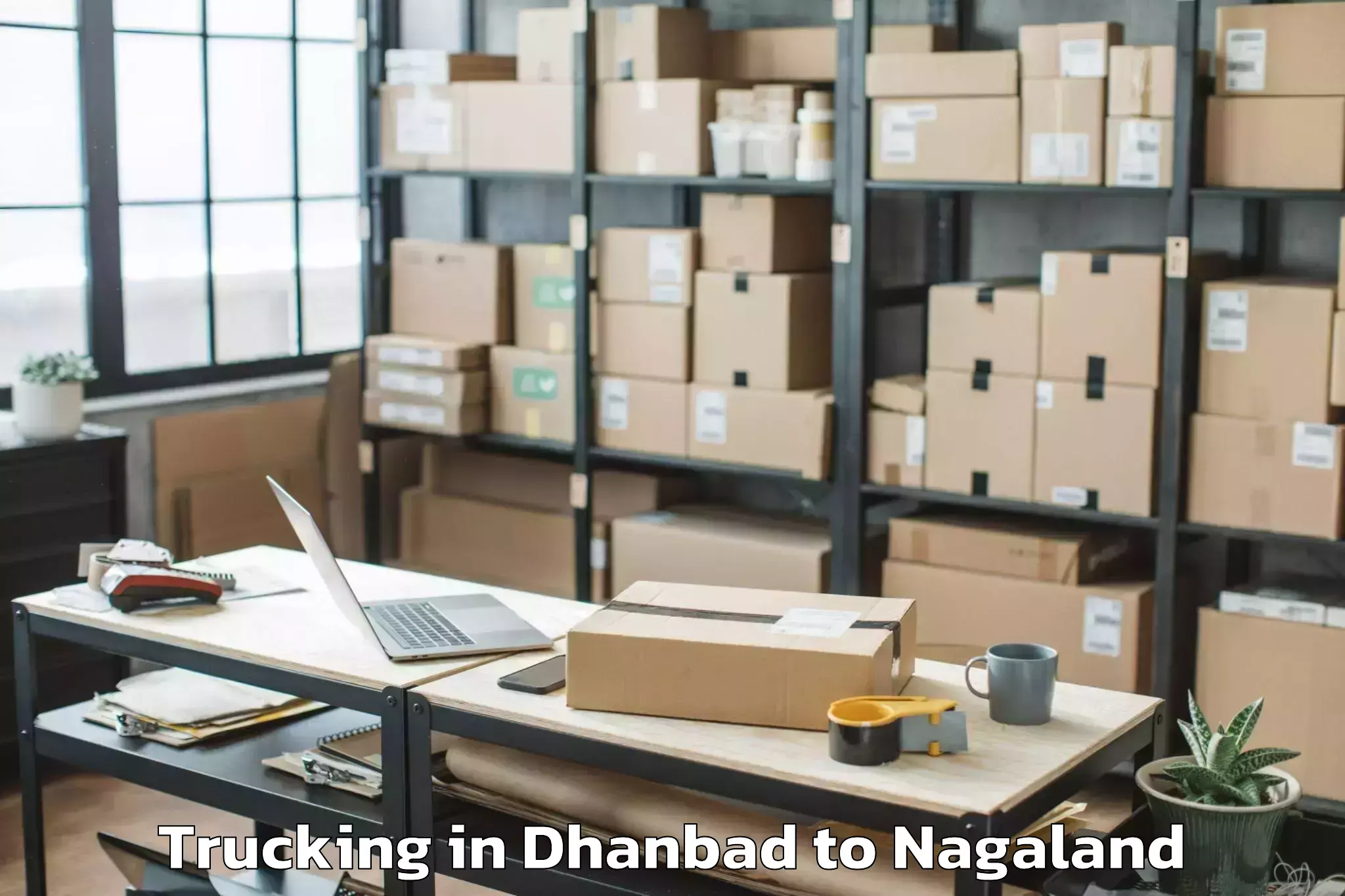 Book Dhanbad to Monyakshu Trucking Online